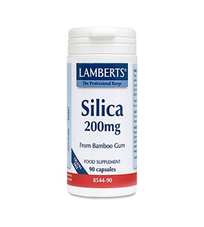Lamberts Silicio 200 mg 90...